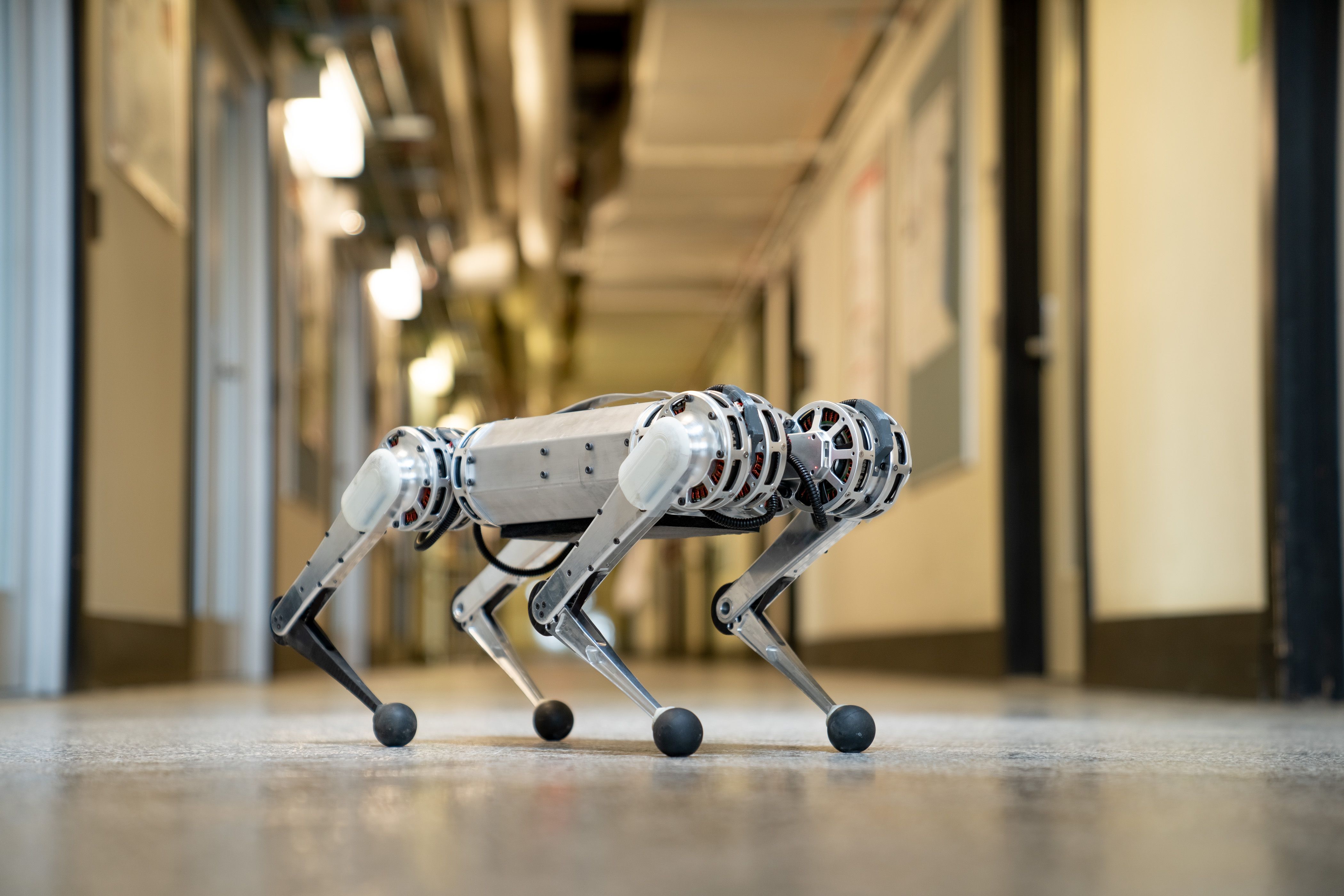 Quadruped Robot