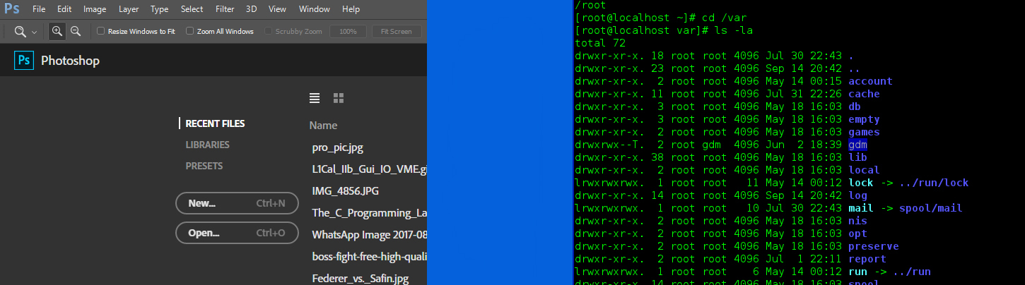 Graphical User Interface (GUI) vs Command Line Interface (CLI)