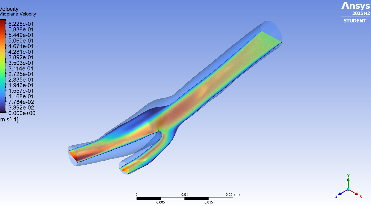 Thumbnail for HemoFlow Numerics